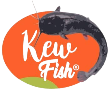 KewFish – Delicious Delicacies